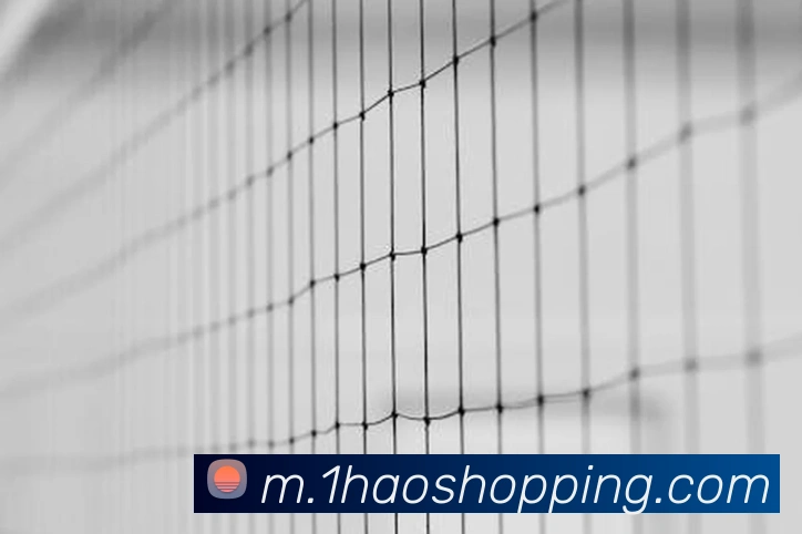 多媒体互动体验